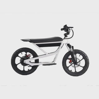 ZEROOXRIDE ZXR-E250 product video preview