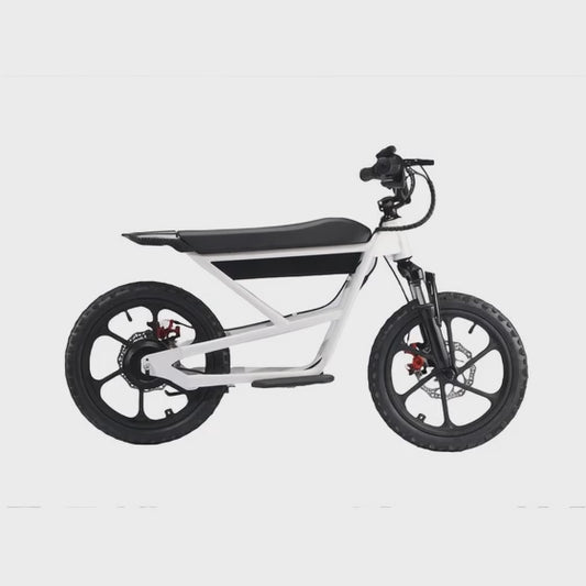 Kids Electric Dirtbike ZXR-16Pro